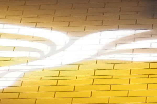 Lib Dem logo bird projected on blockwork